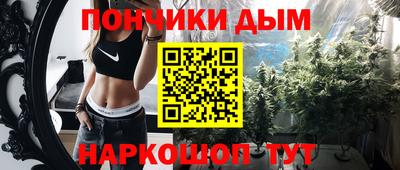 прущие грибы Нальчик