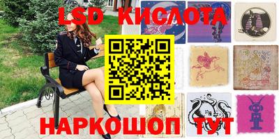 прущие грибы Нальчик