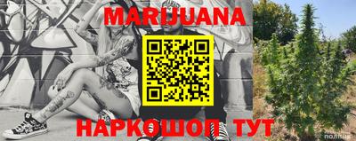 прущие грибы Нальчик